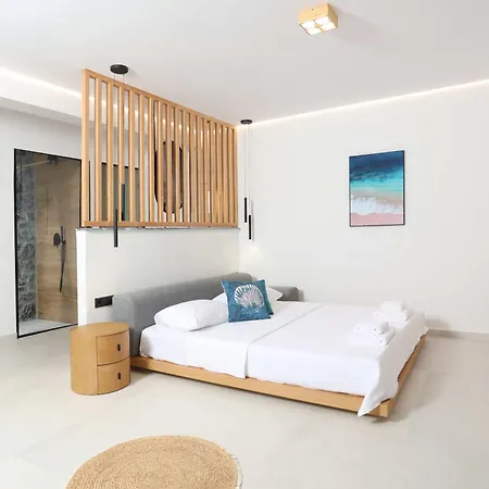 빌라 Inception Luxury 네아 스키오니